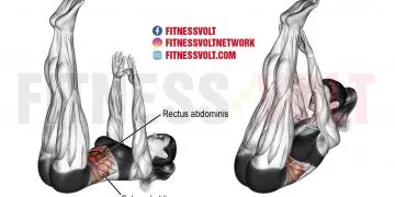 Strengthen Your Core: Master the Vertical Leg Crunch Today!