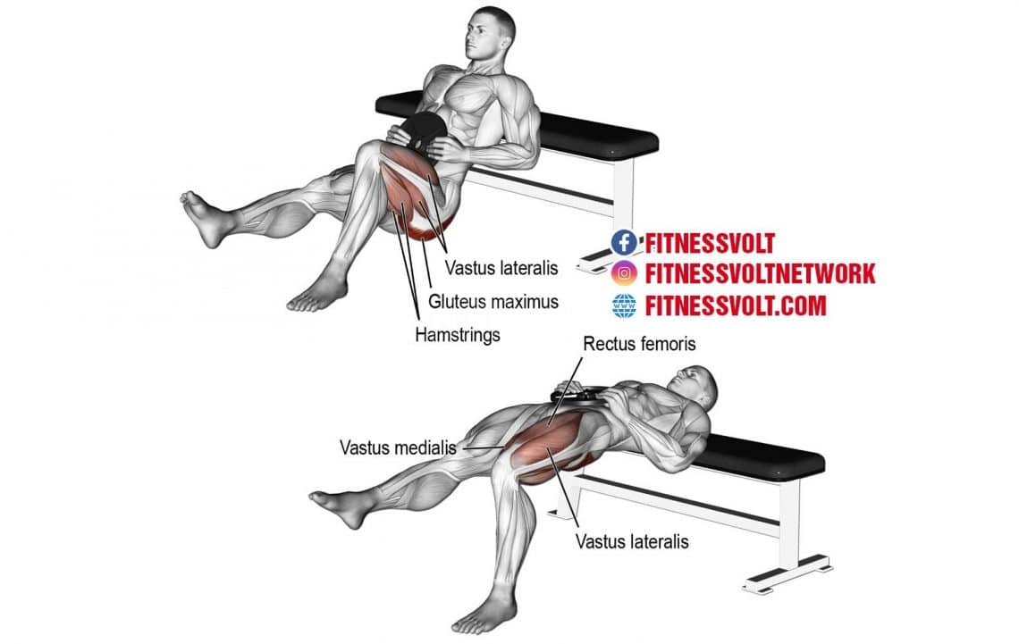 Weighted One-Leg Hip Thrust (Glutes) – Fitness Volt