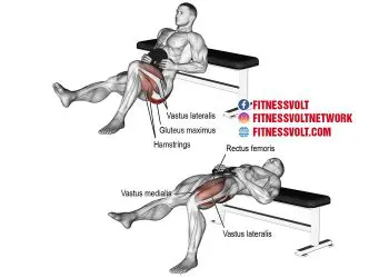 Ultimate Weighted One-Leg Hip Thrust for Stronger Glutes