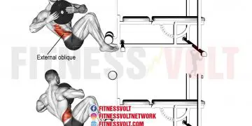 Weighted Russian Twists: Target Your Core Muscles Effectively