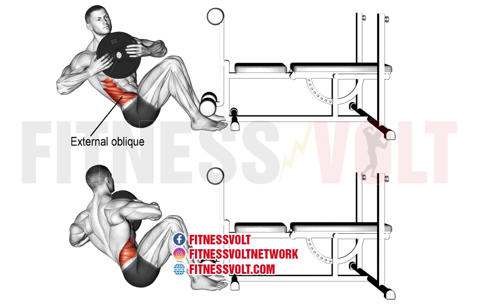 Weighted Russian Twist Obliques Fitness Volt