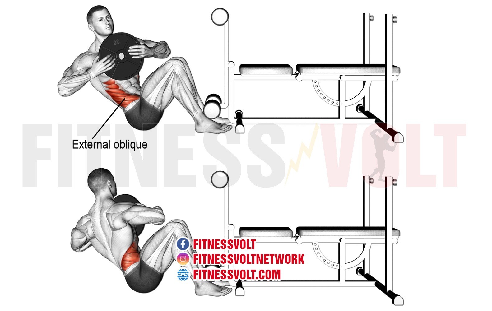 Weighted Russian Twists Target Your Core Muscles Effectively Fitness Weighted Russian Twists Target Your Core Muscles Effectively Fitness