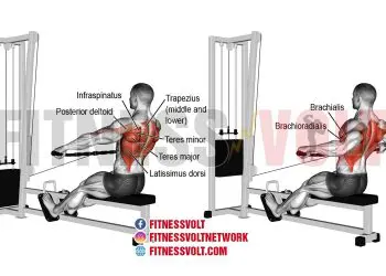 Maximize Back Strength: Wide-Grip Cable Row Benefits
