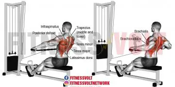 Maximize Back Strength: Wide-Grip Cable Row Benefits
