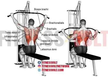 Wide-Grip Lat Pull-down: Strengthen Your Back & Biceps Today!
