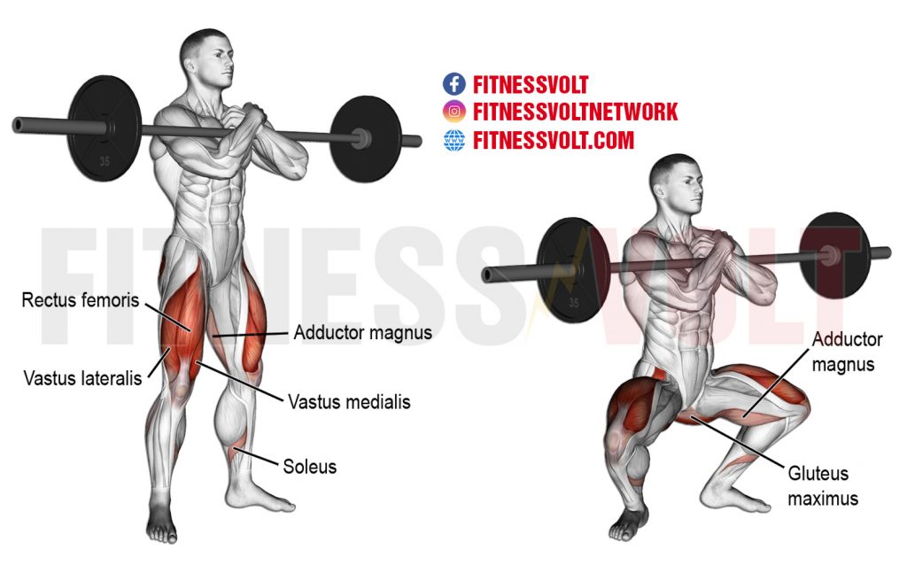 Zercher Squat Guide: Origin, Muscles Trained, Benefits, Exercise ...