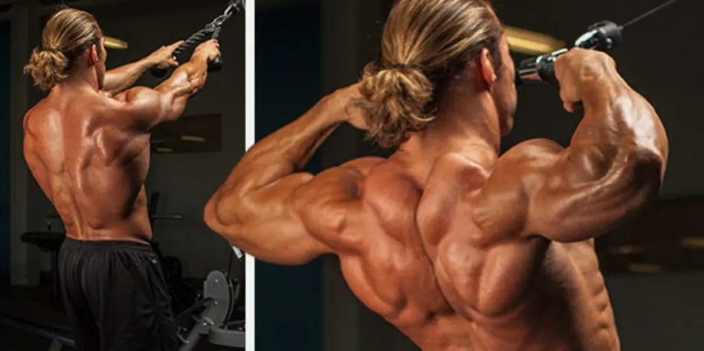 Rear Delts