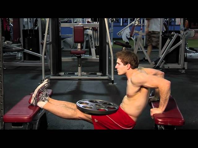 Bench Dip Triceps Exercise Guides And Videos Fitness Volt 2722