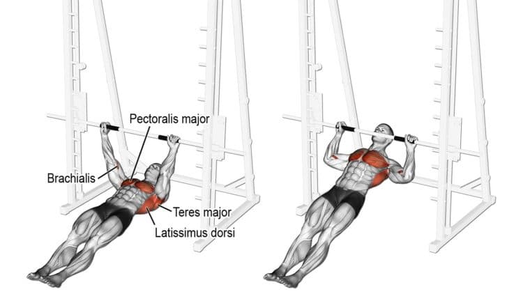 Inverted Row Guide