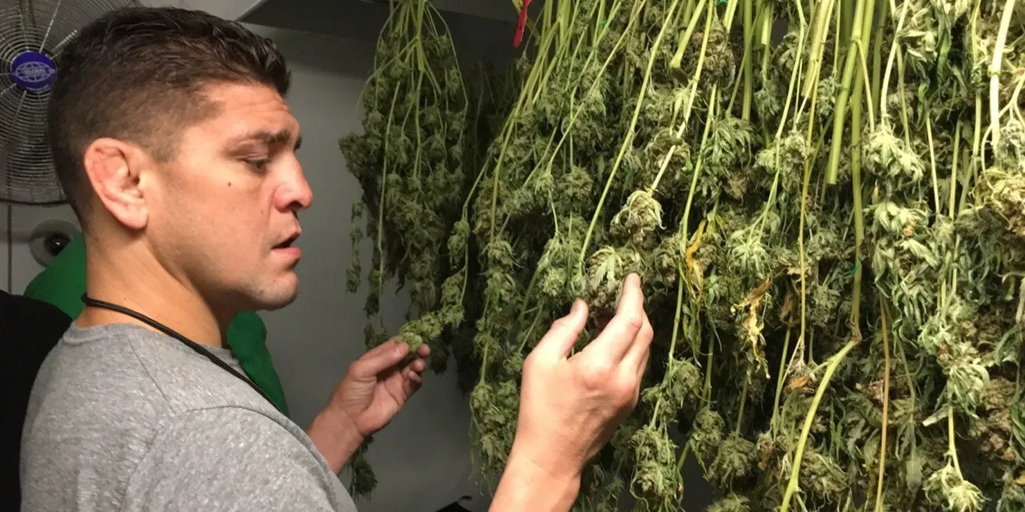 Nick Diaz Reportedly Arrested