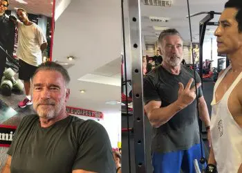 Arnold Schwarzenegger Terminator 6