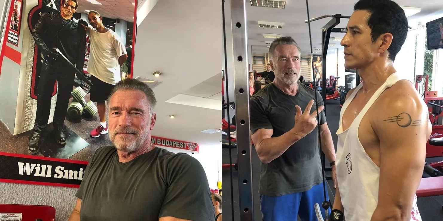 Arnold Schwarzenegger Terminator 6