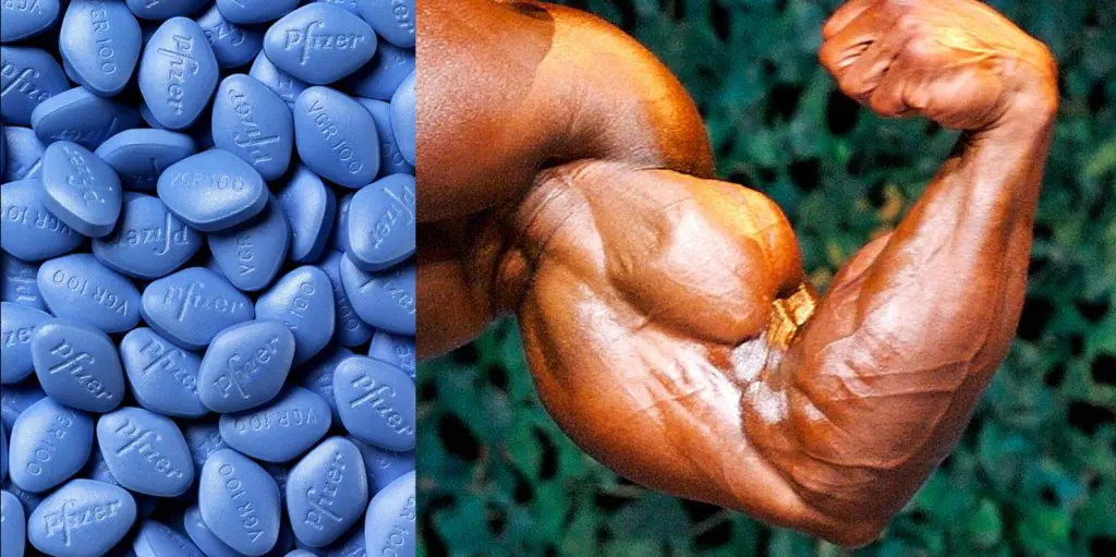 Bodybuilding