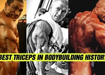 Best 5 Triceps In Bodybuilding History