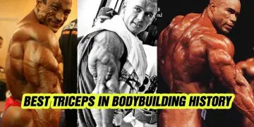 Best 5 Triceps In Bodybuilding History
