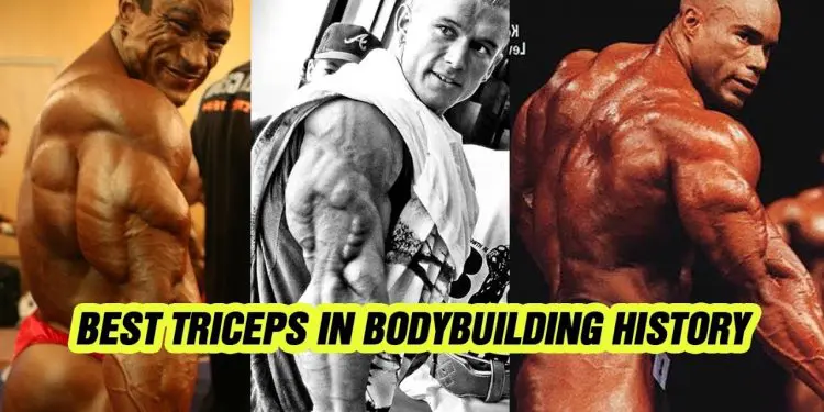 Best 5 Triceps In Bodybuilding History