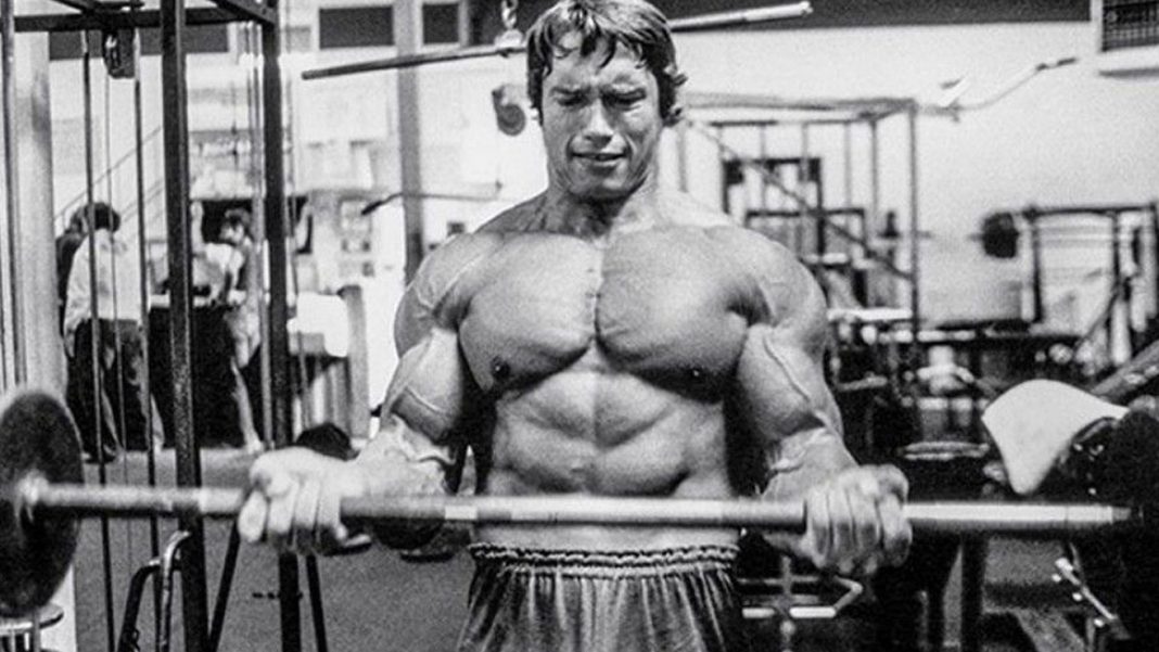 Arnold Schwarzenegger The Man Behind The Legend Fitness Volt