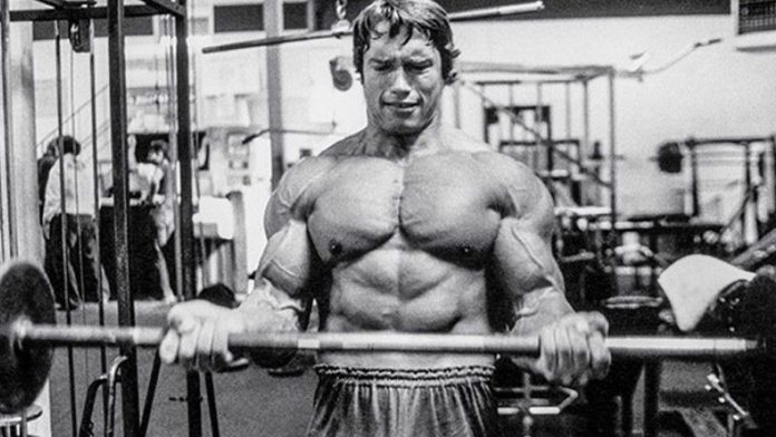 Arnold Schwarzenegger – The Man Behind The Legend – Fitness Volt