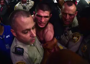 Khabib vs Conor post-fight brawl!