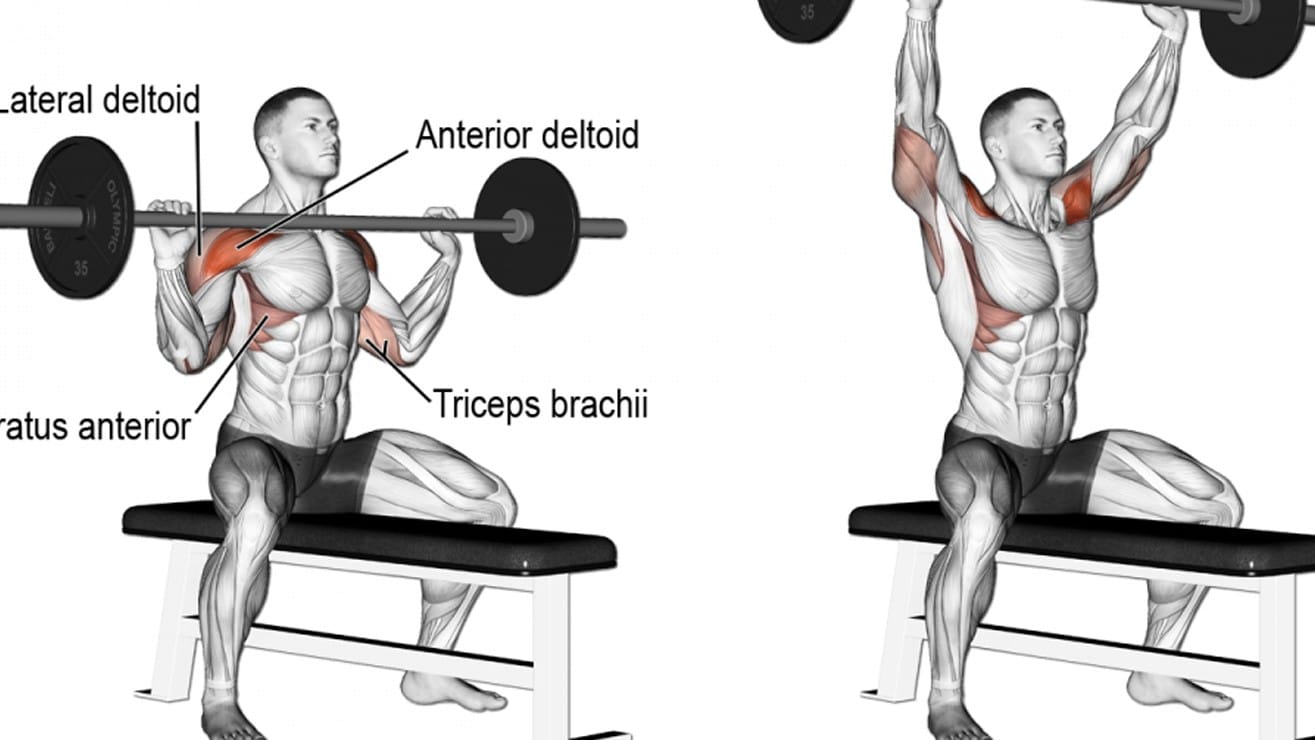 Seated Dumbbell overhead Press