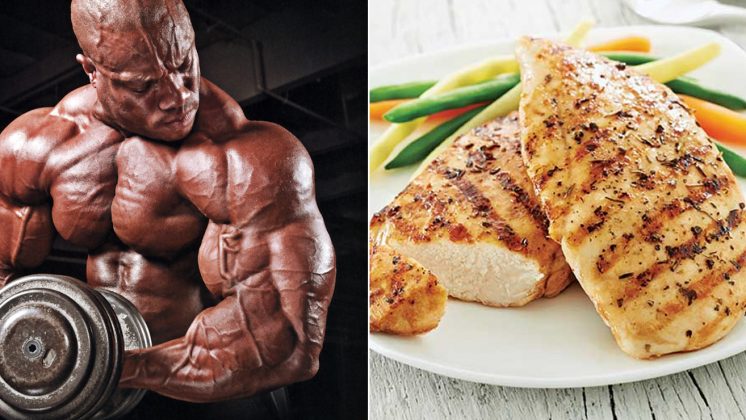 Our List Of 40 Great Protein-Packed Foods – Fitness Volt