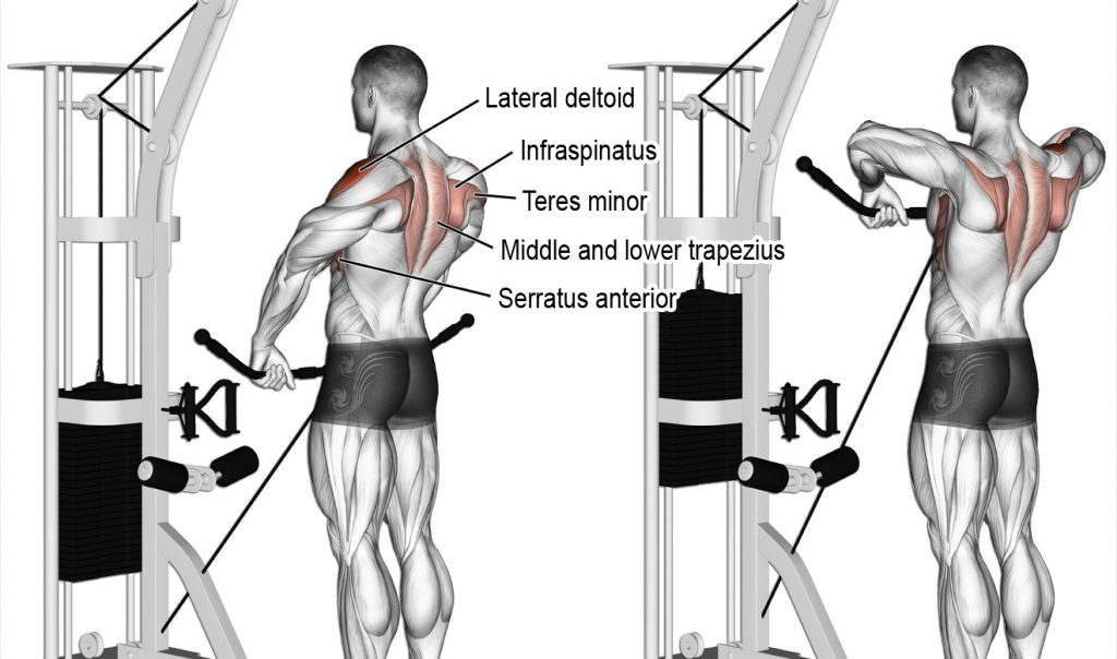 cable crossover machine back exercises