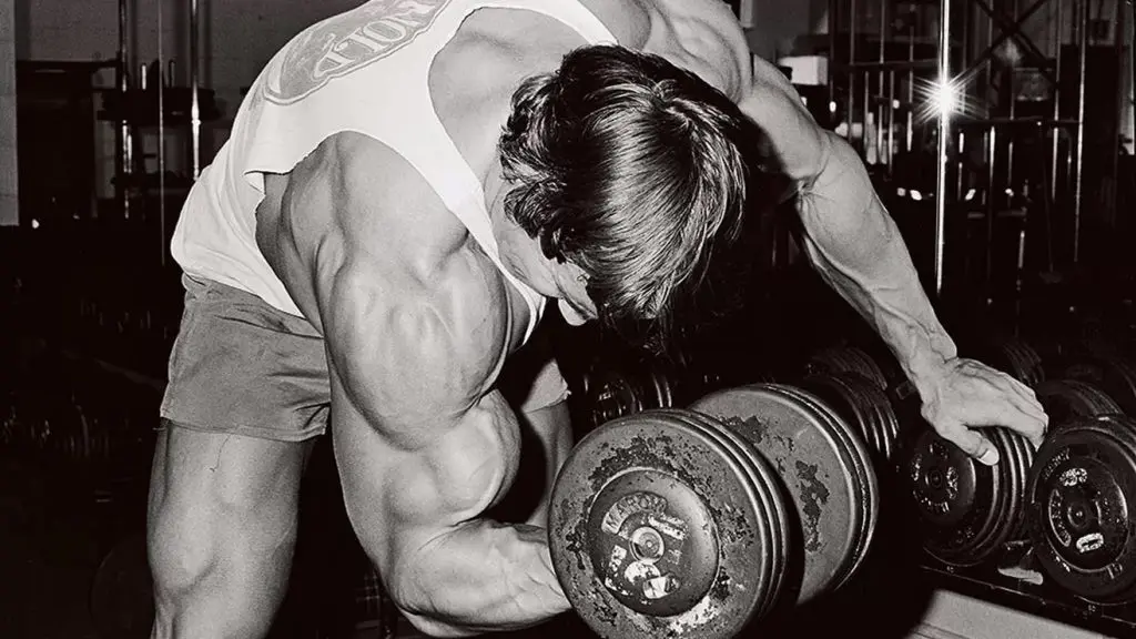 Arnold bicep workout