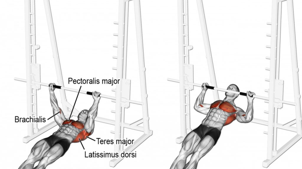 6 Must Have Pull Up Variations For Killer Lats Fitness Volt