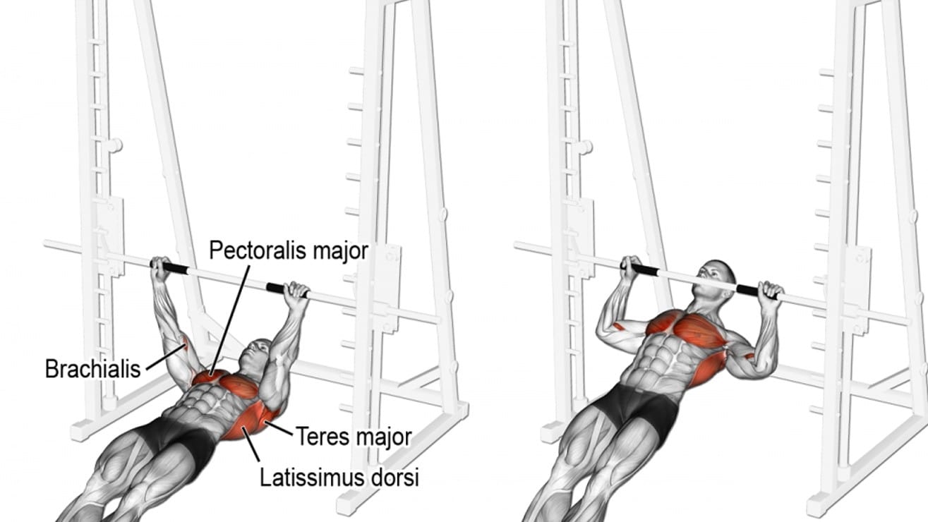 6 Must Have Pull Up Variations For Killer Lats Fitness Volt 9514