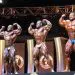 Arnold Classic Prejudging