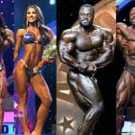 Arnold Classic Results
