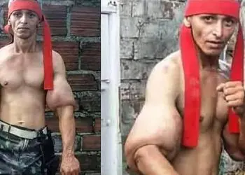 Synthol John Rambo