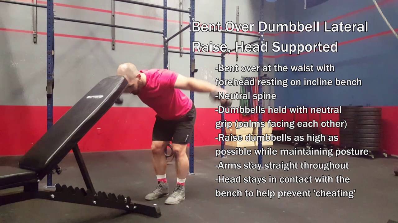 Seated Rear delt Dumbbell Fly