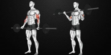 Barbell Curl Guide