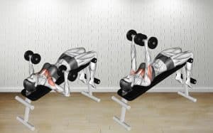 Decline Dumbbell Bench Press Guide