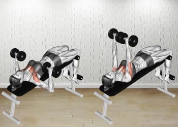 Decline Dumbbell Bench Press Guide