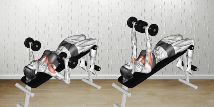 Decline Dumbbell Bench Press Guide