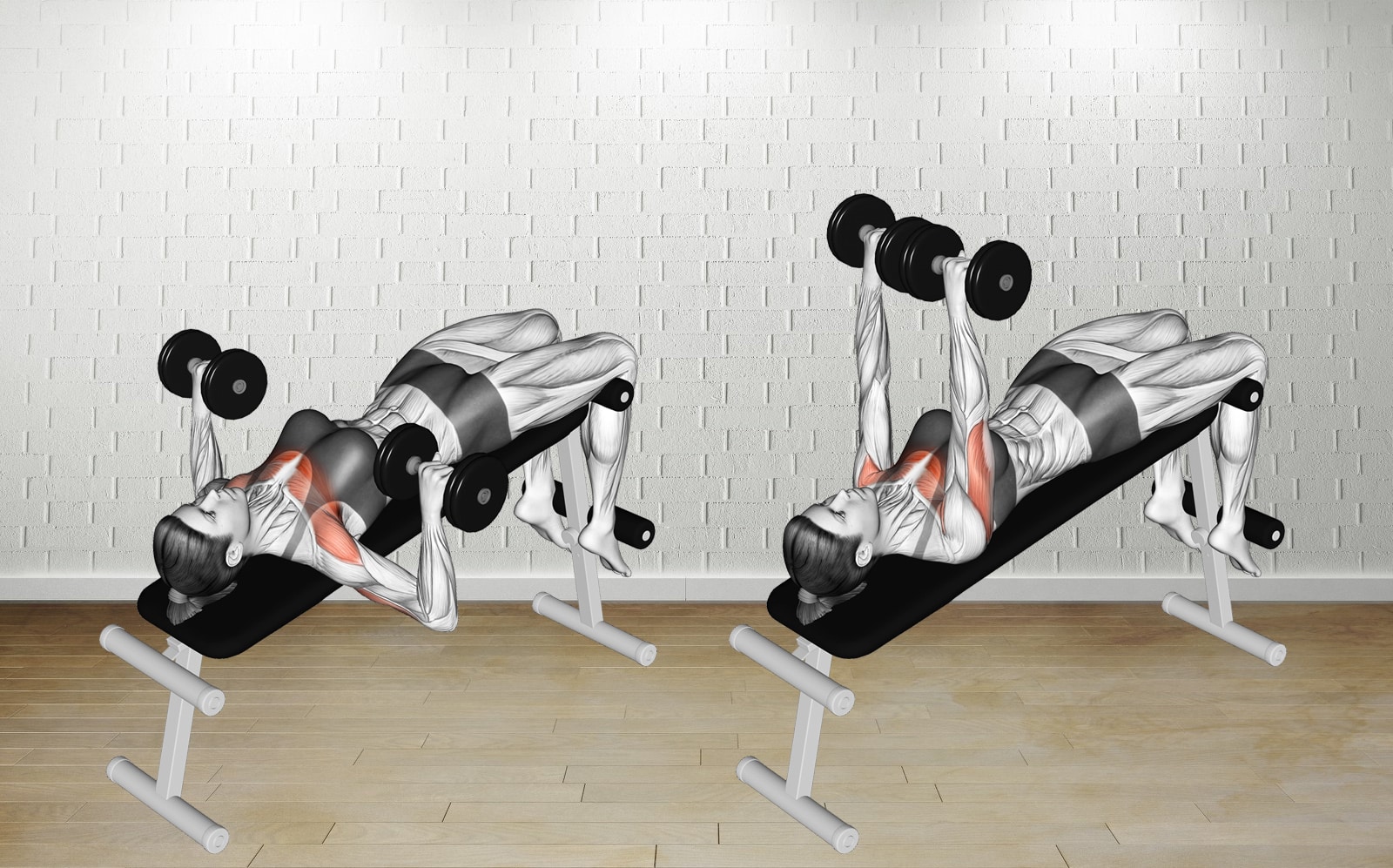 Decline Dumbbell Bench Press Build Chest Arms Stability Fitness Volt