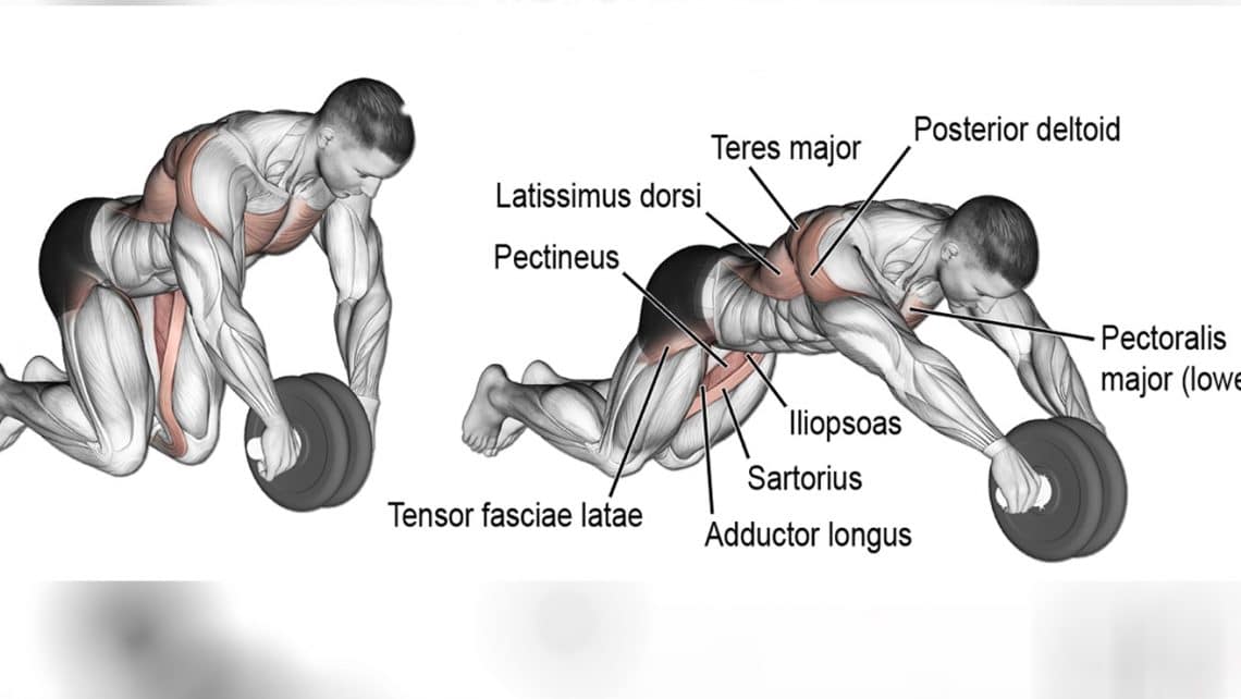 10 Best Ab Rollout Alternatives Fitness Volt