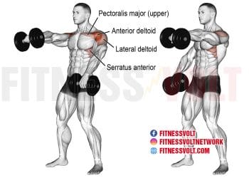Build Stronger Shoulders with Alternating Dumbbell Front Raise