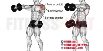 Build Stronger Shoulders with Alternating Dumbbell Front Raise