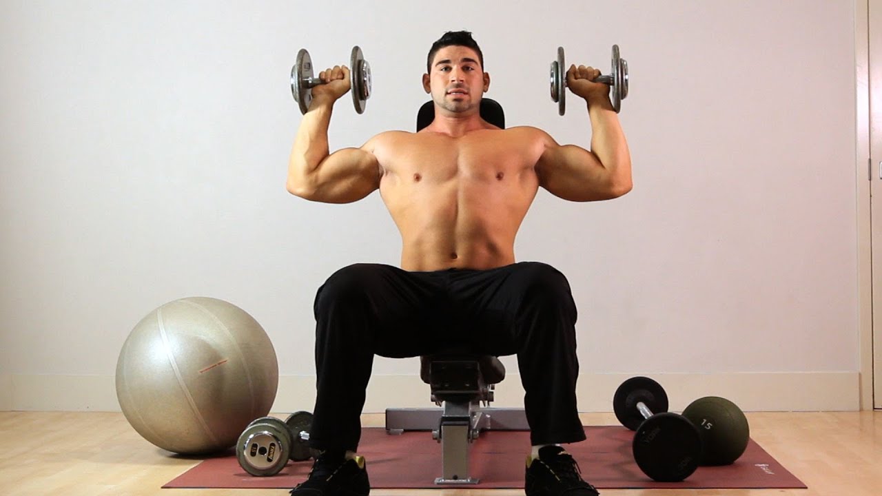 Seated Dumbbell Overhead Press Shoulders Fitness Volt