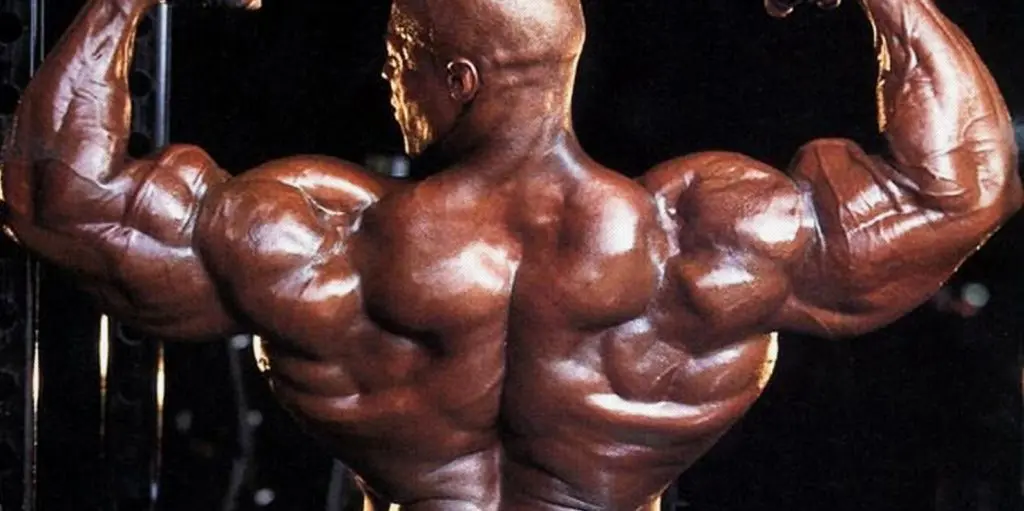 Back Workouts Tips