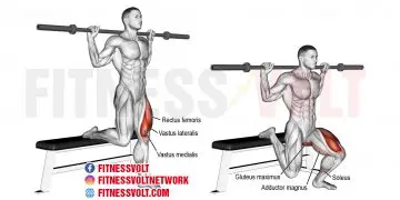 Master the Barbell Bulgarian Split Squat for Stronger Legs!
