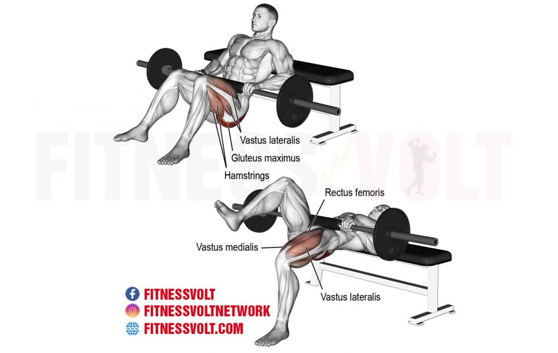 Barbell One-Leg Hip Thrust (Glutes) – Fitness Volt