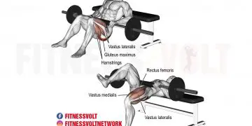 Barbell One-Leg Hip Thrust: Build Glutes & Strengthen Core