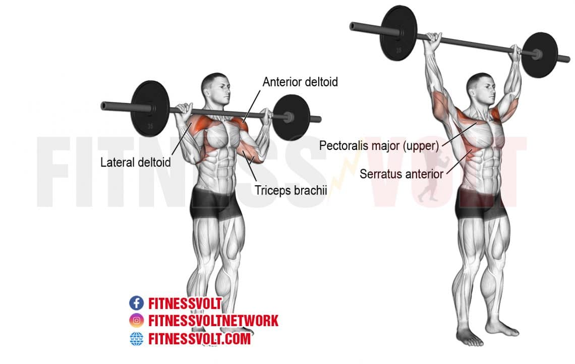 Barbell Overhead Press (Shoulders) Fitness Volt