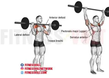 Ultimate Barbell Overhead Press for Strong Shoulders & Core