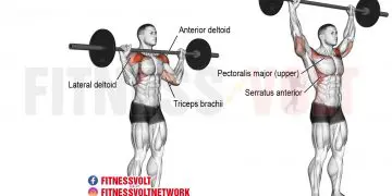 Ultimate Barbell Overhead Press for Strong Shoulders & Core