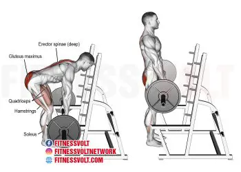 Master the Barbell Rack Pull for Stronger Hamstrings & Glutes